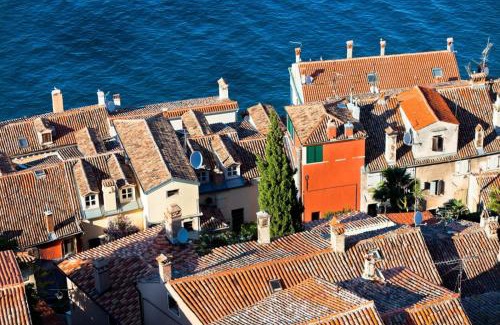 Borik House | Room in Rovinj with terrace, air conditioning, W-LAN 81-6