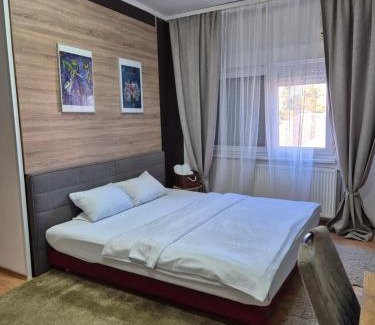 Pancevo House | Rooms Villa Luigi