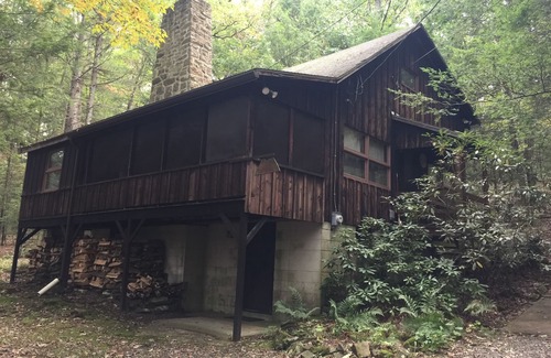 Petersburg Cabin | Roomy, Rustic Cabin-4BR, Modern Amenities-Rothrock St Forest near State College