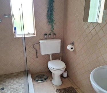 Boksburg House | Rooster Room