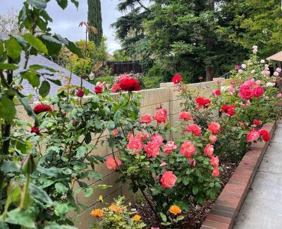 Thousand Oaks House | Rose Garden Home, Entire 4bdr 2bth House with Offices, Thousand Oaks