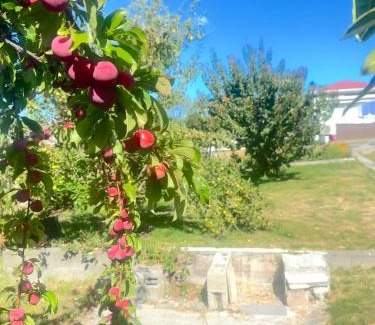 Glenorchy House | Rose Homey Home