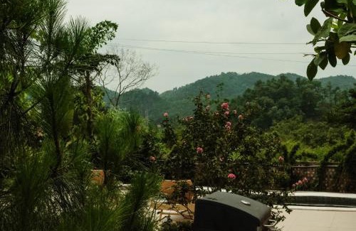 Soc Son House | Rose house - homestay trong rừng