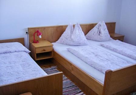 Ratten Hotel | Roseggerhaus