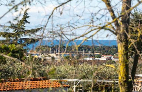 Novigrad Apartment | Rosello 2 by Briskva