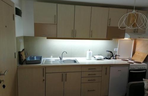 Vrnjacka Banja Apartment | Royal 019