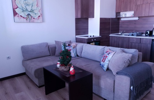 Shiligarnika Apartment | Royal Bansko Aparthotel 206D