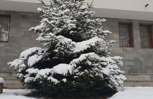 Shiligarnika Apartment | Royal Bansko Aparthotel 206D