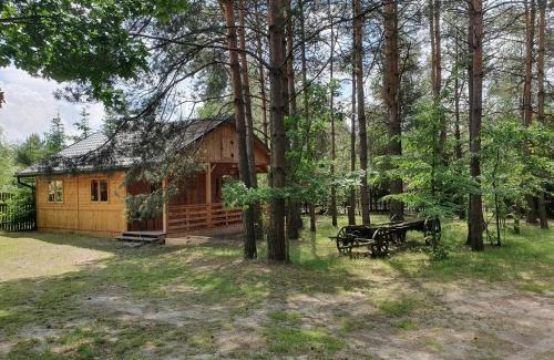 Susiec House | ROZTOCZE u ALEKSA SUSIEC - JACUZII , GORĄCA BALIA!