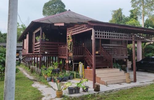 Kampung Wakaf Nyior Kembar House | Rumah Kayu Aboh