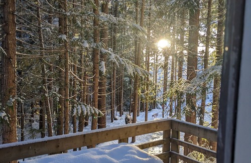 Courtenay Ski Chalet | Rustic A frame Chalet. Hiking & Biking access at your door! * Glamping *