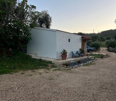 Barranco da Vaca House | Rustic cabin with pond and deck