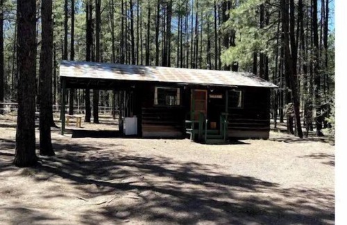 Alpine Cabin | Rustic Charm Cabin in the tall pines, Alpine AZ #4