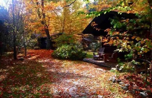 Lisbon Cabin | Rustic Log Cabin #1 - "Rustic Retreat"