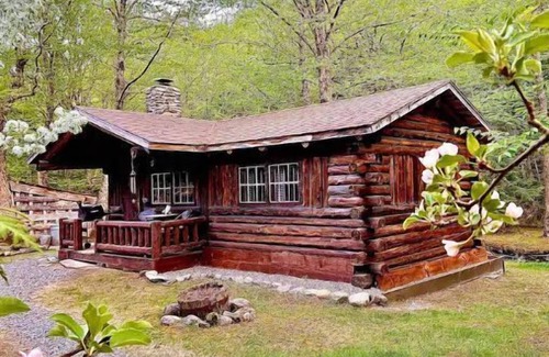 Lisbon House | Rustic Log Cabin #5 - "Escape"