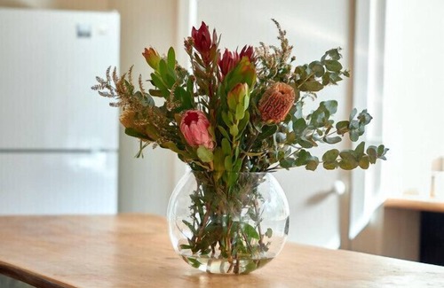 Aireys Inlet House | Rustic Treehouse - Aireys Inlet