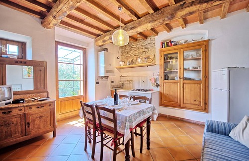 Greve in Chianti Apartment | Rustico - Apartment with swimming pool