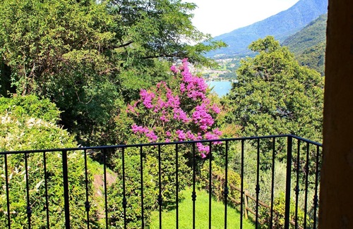 Olgiasca House | Rustico Holiday Home Ulivi