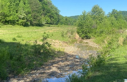 Clay City RV Rental | RV Campground at The Holler #8