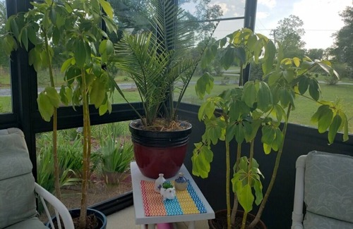 Cottondale House | RV Executive Home I - In Tranquil Setting, Indoor - In-ground Pool