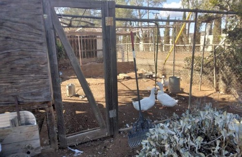 El Cajon RV Rental | RV hookup space for rent