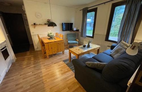 Stoten Apartment | SÄLEN, Ski in-Ski out, Lägenhet 12C Grå Byn