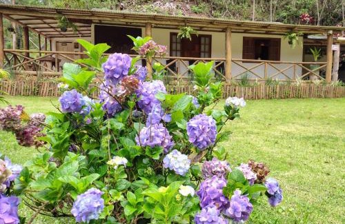 Santa Teresa House | Sítio das Águas