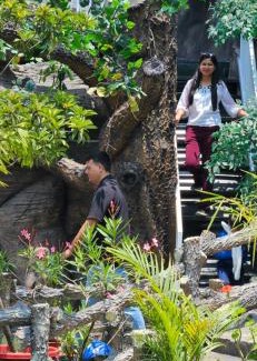 Munnar House | S & B Dreams House