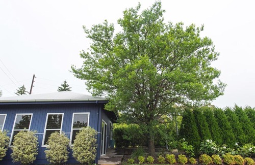 Port Lincoln Apartment | S T U D I O 22 Tranquil Views