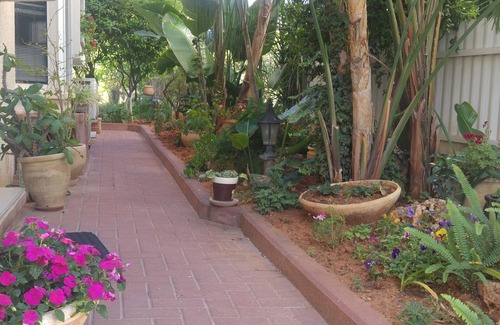 Kfar Sava Apartment | Sabba's Apartment