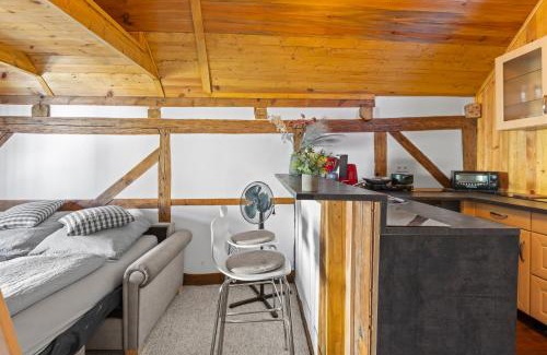 Trebbin Apartment | Sabina Mounteurwohnung Dachboden I 55 Zoll TV I Schlafcouch mit 20cm Matraze 2 weitere Schlafplätze I Küche I Bad