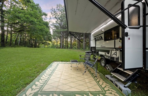 Golden House | Sadie's Suitcase