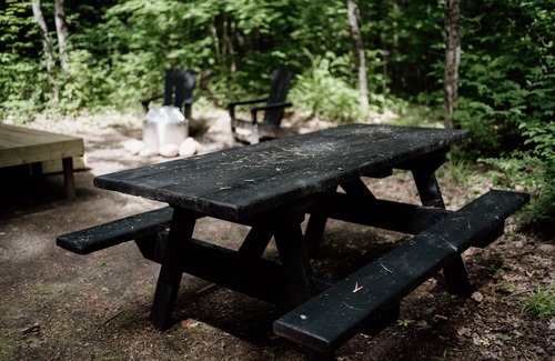 North Woodstock RV Rental | Safari Tent Site 12 | 1 King Bed | Woods View