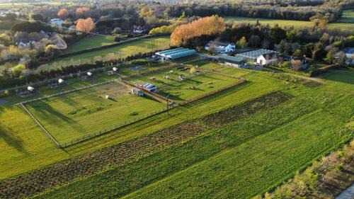 Malahide House | Sage- Glamping Pod