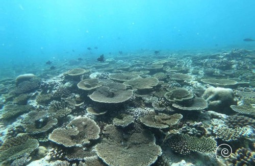 Maalhos House | Saima Inn