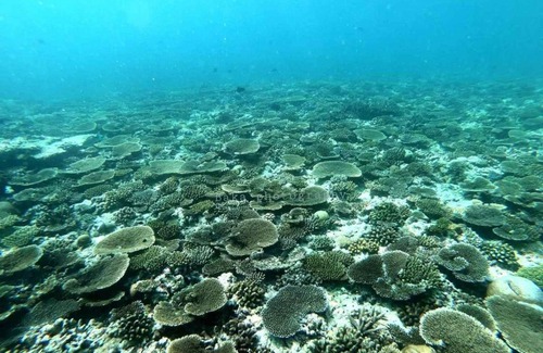 Maalhos House | Saima Inn