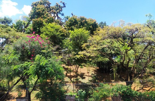 Barra Apartment | Saison du Carnaval 7 Jours à Salvador