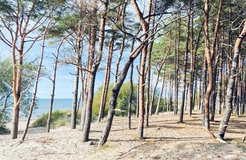 Palanga Villa | Sakalo kopa
