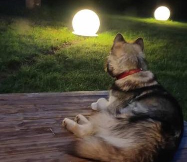 Vilusi House | Salu summer cottage