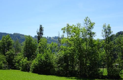 Pinsdorf House | Salzkammergut Homes Gmunden - Haus im Grünen, Ruhe, großer eingezäunter Garten - ideal für Familien und Hunde