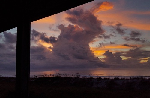 Wilmington House | Sandy Paws Cozy Beach House and direct ocean front on Figure Eight Island