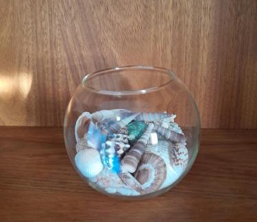 Bluff Apartment | Sandy Pearl Cottage