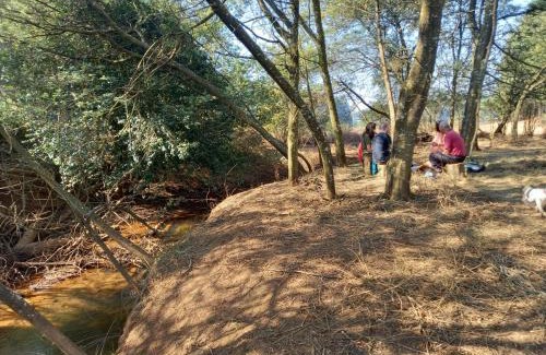 Haenertsburg House | Sanfern Downs Cottage