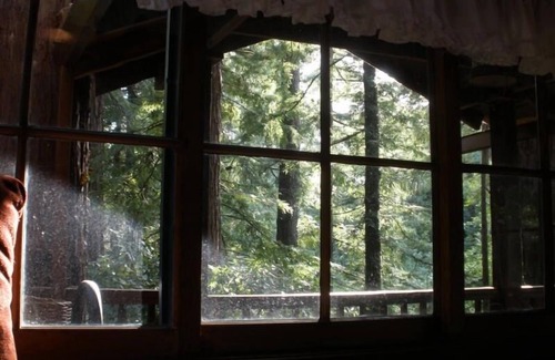 Mount Hermon Cabin | Santa Cruz Mountain Cabin. Utmost Tranquility Amongst the Redwoods!