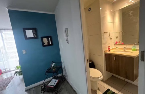Downtown Santiago Apartment | Santa Lucia subway apartment.