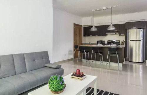 Downtown Santo Domingo Apartment | Santo Domingo City Center Cozy Apt. with Two Bedrooms + Free Parking and Gym ✔️