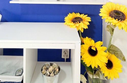 Mousio Apartment | SANTORINI STYLE IN ATHENS,GREEK TRADITHIONAL STYLE