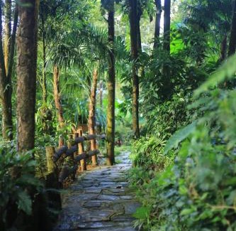 Sa Pa House | Sapa Jungle Homestay