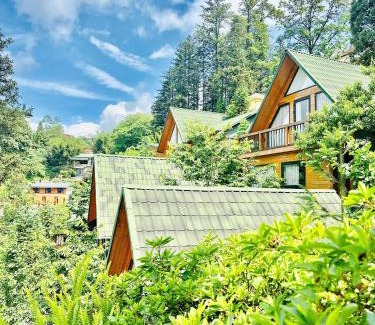 Sa Pa Cabin | Sapa Pine Hill Eco Lodge