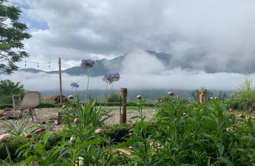 Sa Pa Hotel | Sapa Rosie House